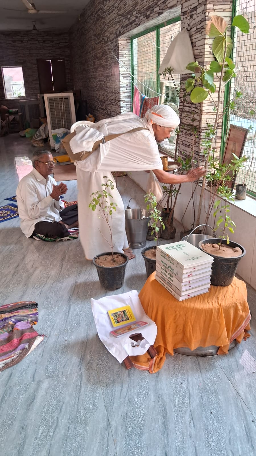 IBF Mataji Gaushala 16