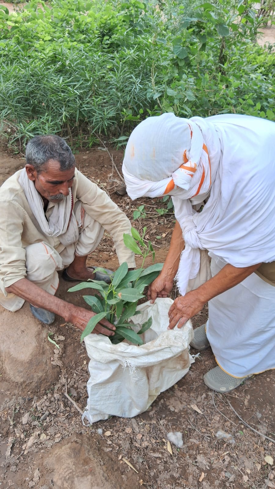 IBF Mataji Gaushala 20