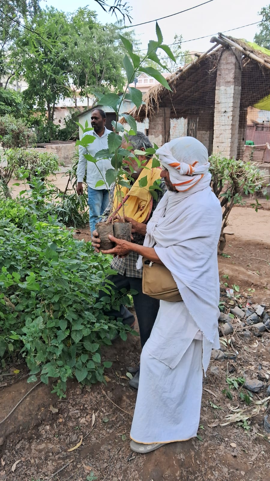 IBF Mataji Gaushala 25