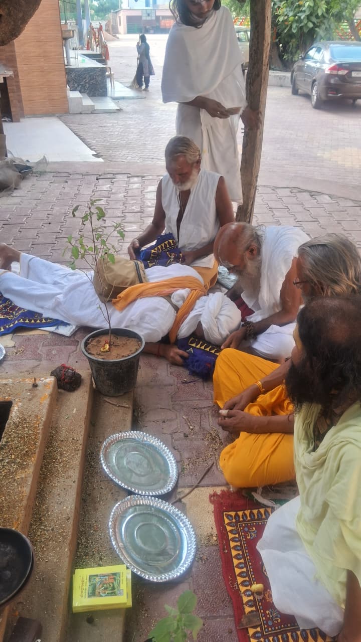 IBF Mataji Gaushala 53